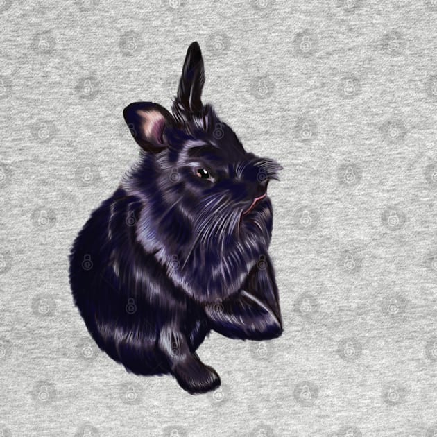 bunny rabbit cute  ebony blue colored coloured lionhead bunny rabbit by Artonmytee